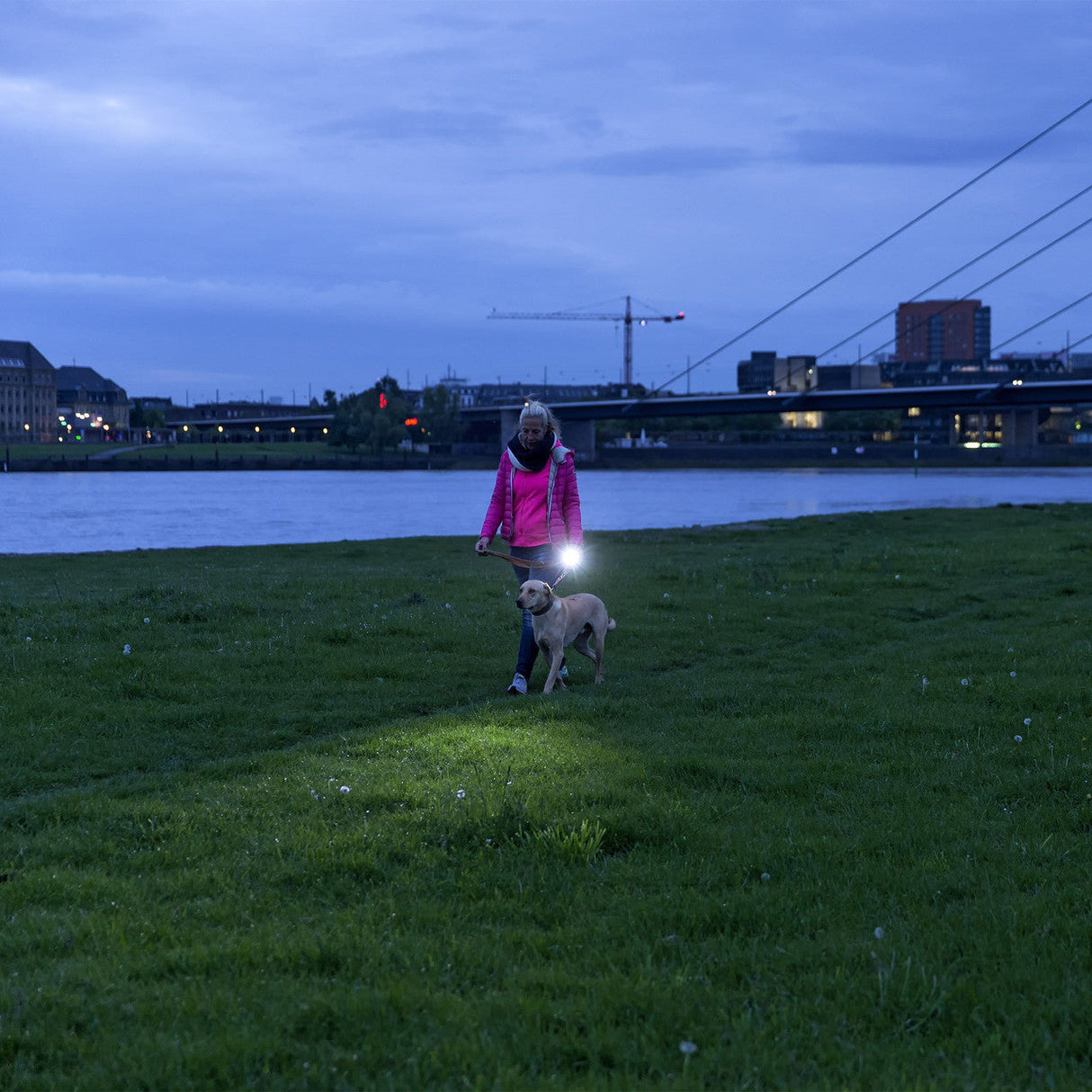 LED Lenser P7R Flashlight