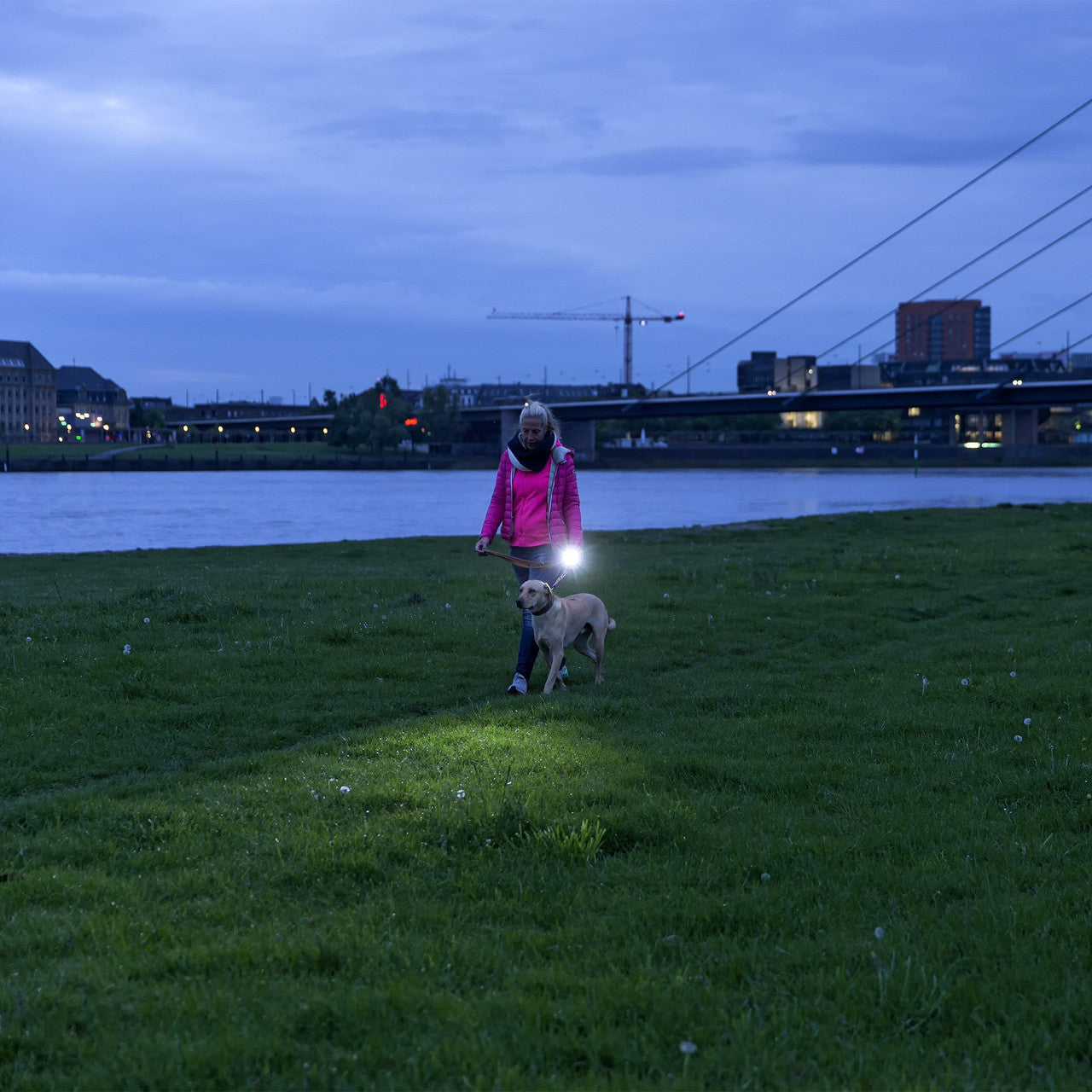 LED Lenser P7R Flashlight