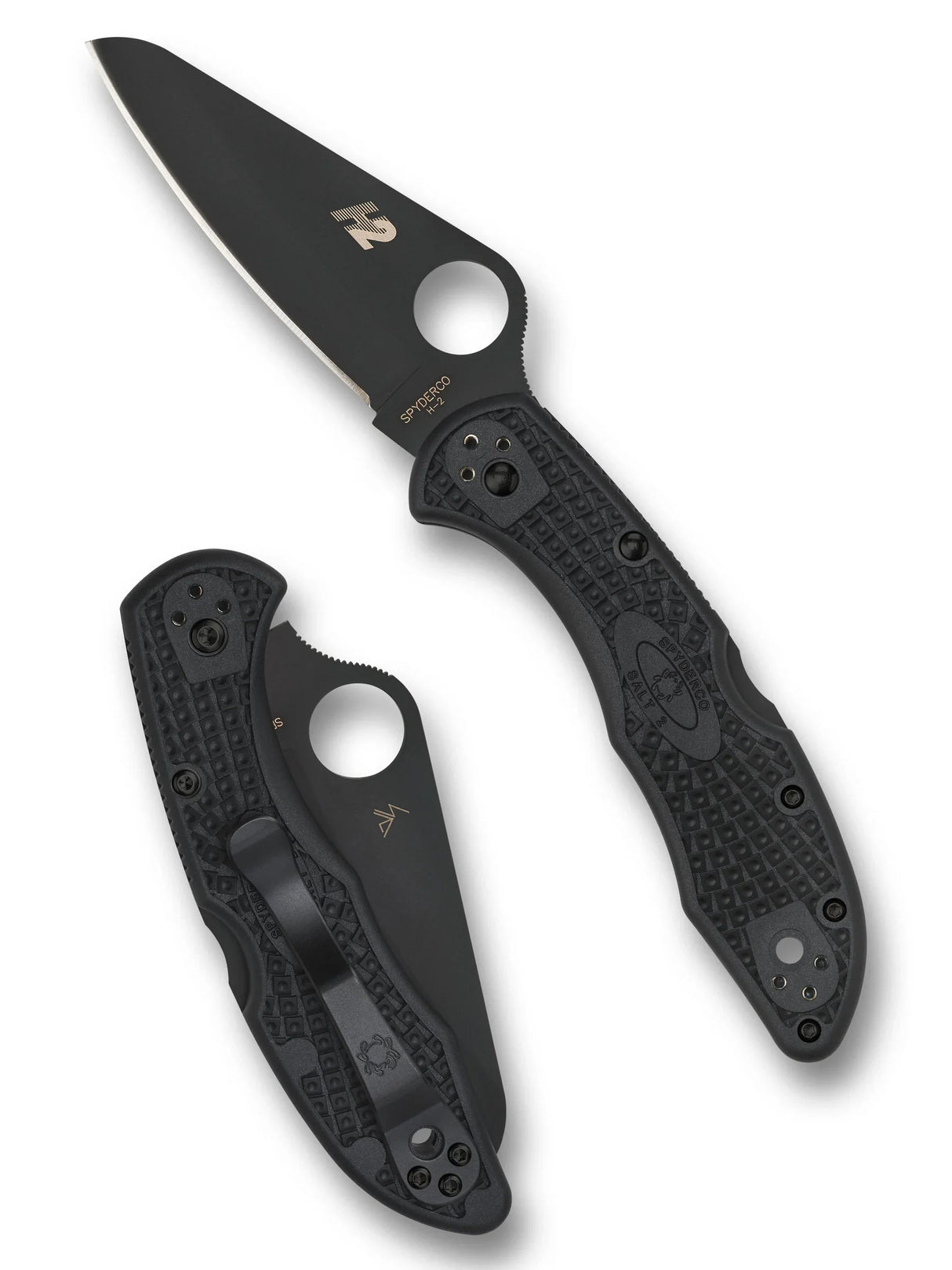 Spyderco C88PBBK2 Salt 2 Lockback PlainEdge