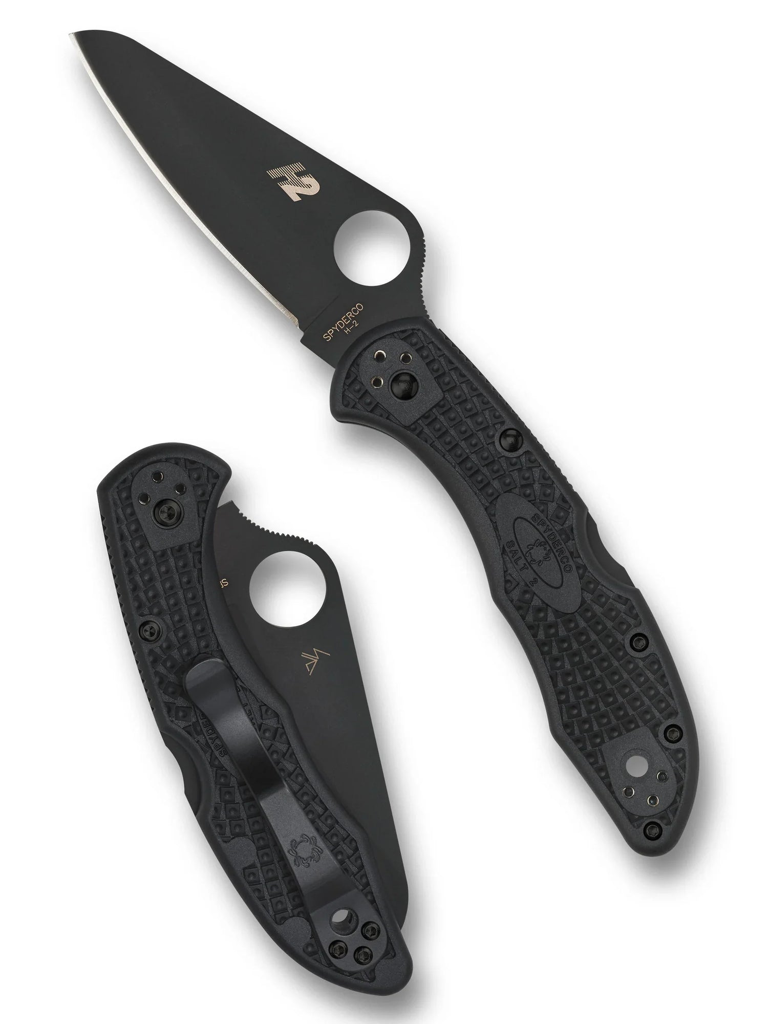 Spyderco C88PBBK2 Salt 2 Lockback PlainEdge