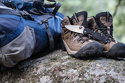 Spyderco Tenacious Liner Lock C122PSBBK