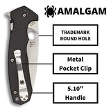 Spyderco C234CFP Amalgam Premium Flipper Knife