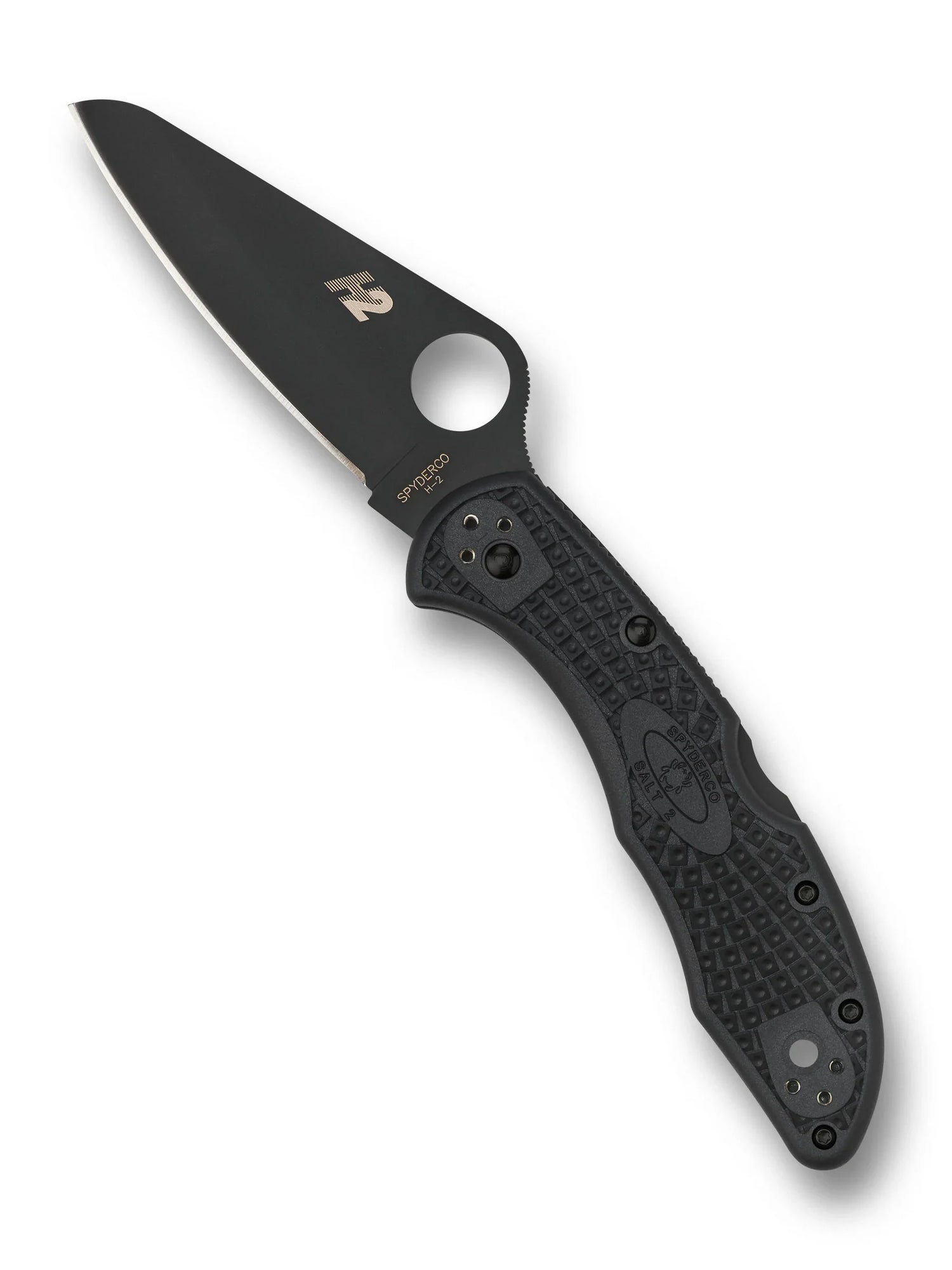 Spyderco C88PBBK2 Salt 2 Lockback PlainEdge